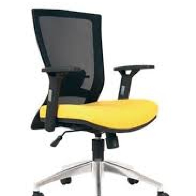 KURSI KANTOR CHAIRMAN - LIVIO TS 01103